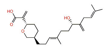 Rhopaloic acid E